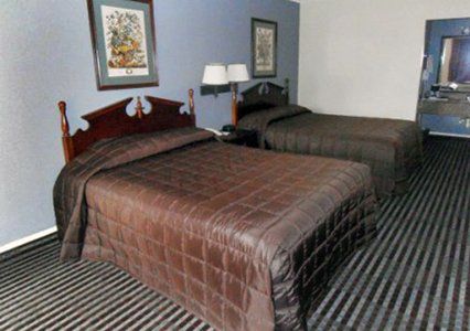 Loyalty Inn Gainesville Room photo